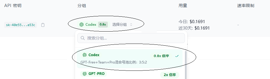 步骤1：API密钥管理界面展示分组套餐与导入按钮